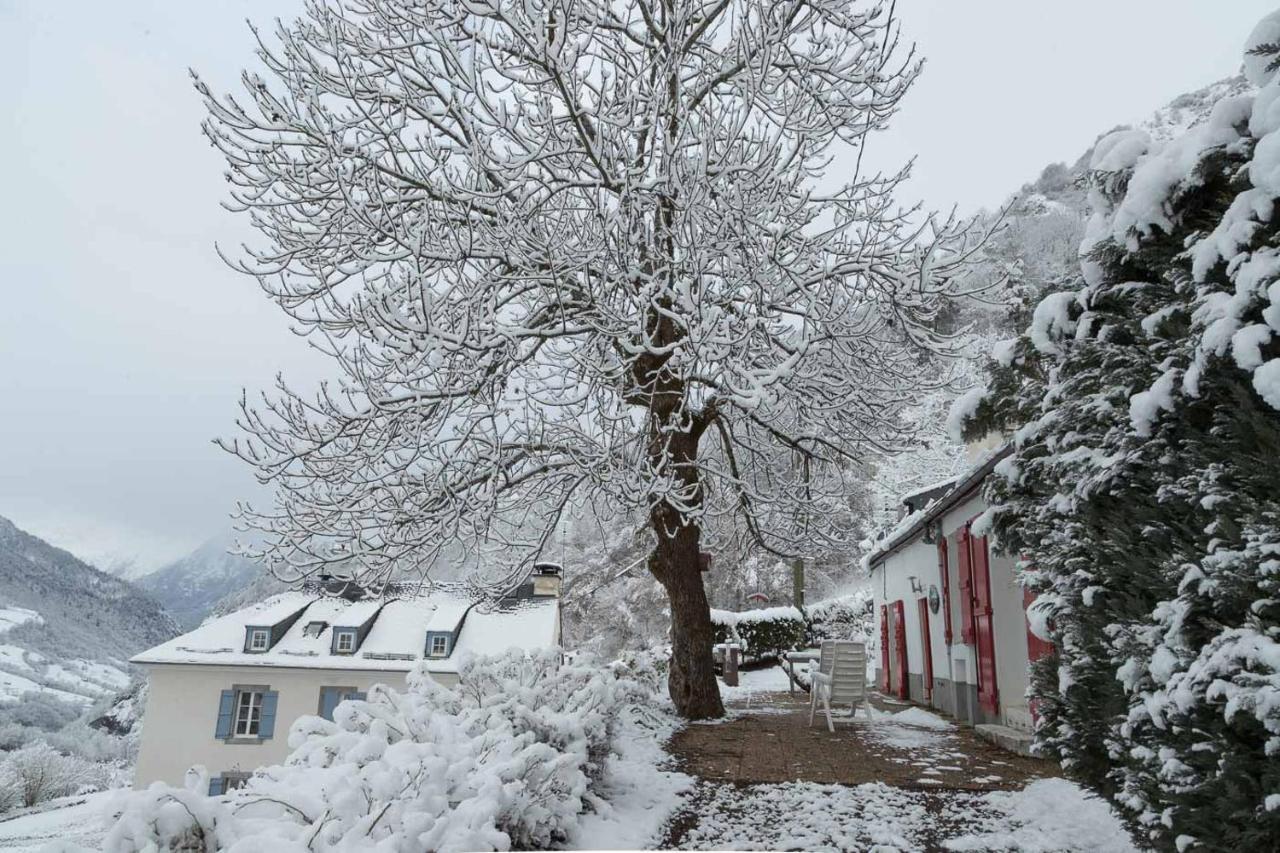 Comfortable Farm House Petit Barzun, In The Parc National Pyrenees Bareges Luaran gambar
